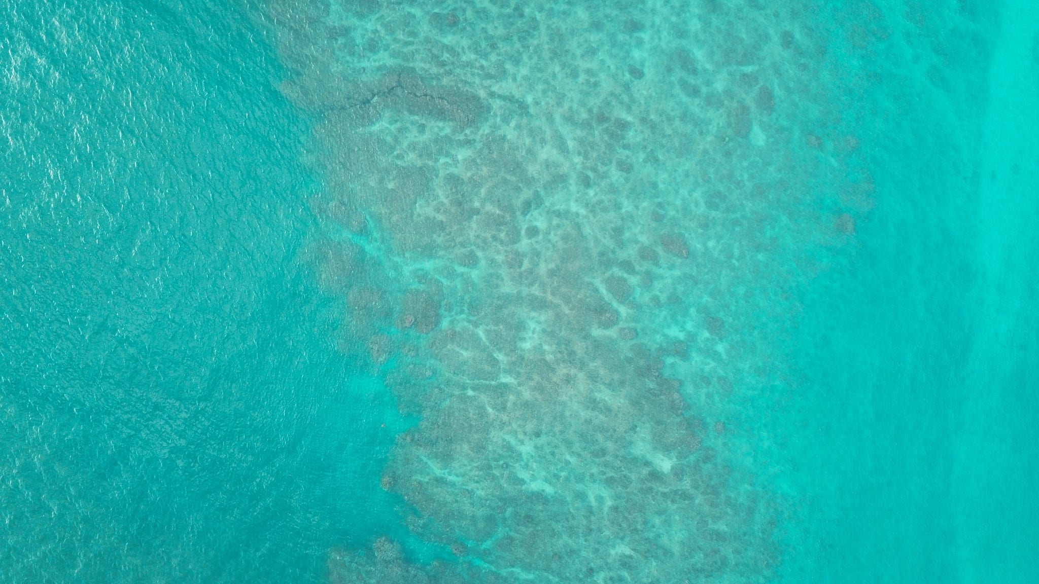 Aerial view looking straight down on clear turquoise water over mottled reef